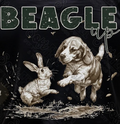 Beagle Up