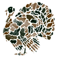 Camo Turkey Puzzle