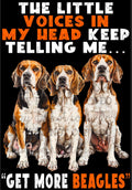 Get More Beagles