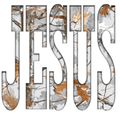 Gray Camo Jesus